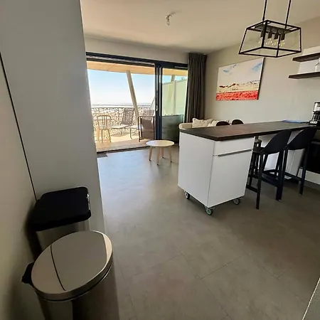 Appartamento Luxe 2 Ch, Balcon, Plage, Piscine, Parking - Fr-1-194-230 *